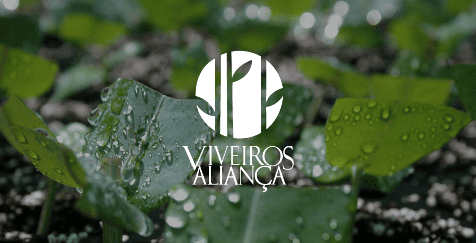 Viveiros Alian&ccedil;a