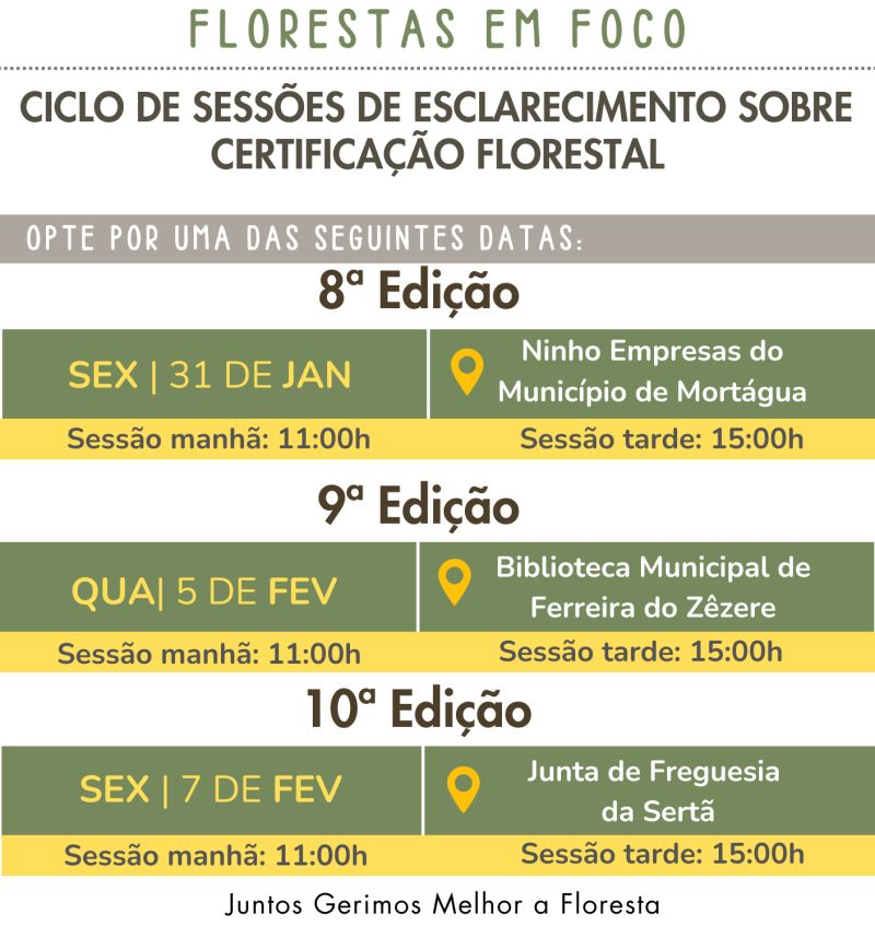 Florestas em Foco | Certificação Florestal