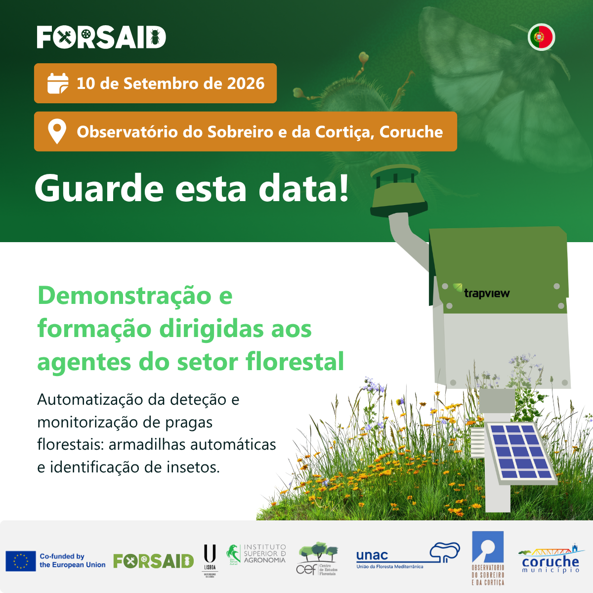 Automatização da deteção e monitorização de pragas florestais: armadilhas automáticas e identificação de insetos