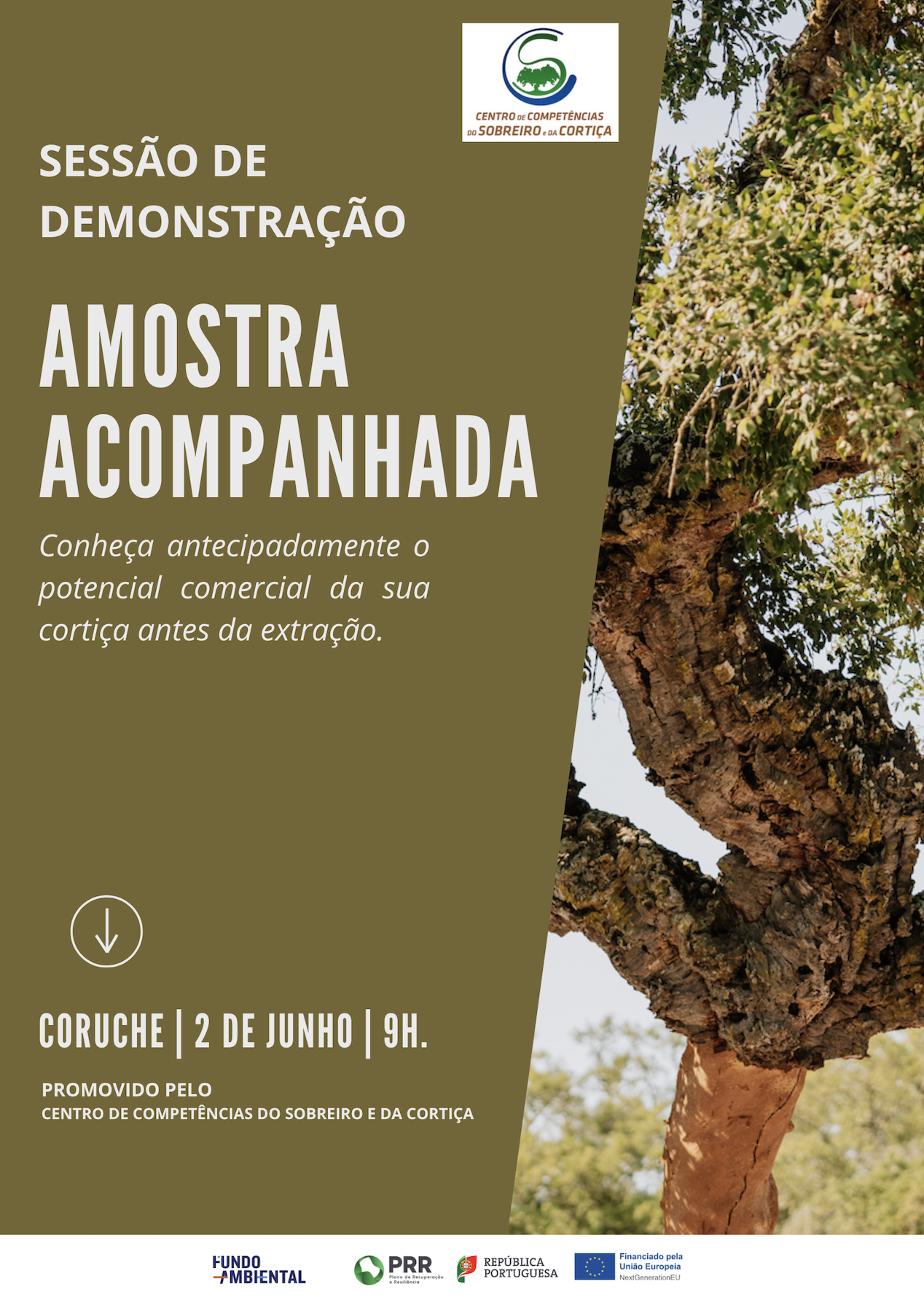 Sessão Demonstração - Amostragem de Cortiça
