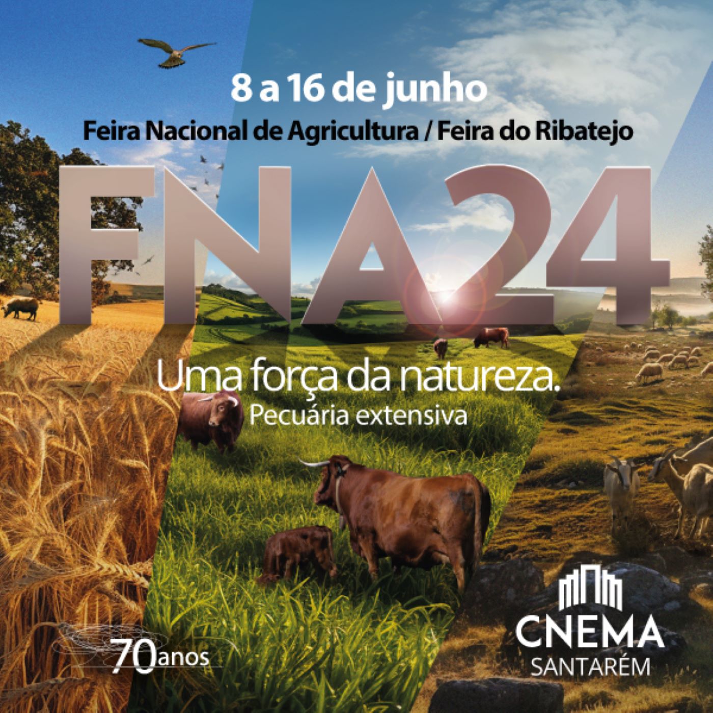 60ª Feira Nacional de Agricultura / 70ª Feira do Ribatejo