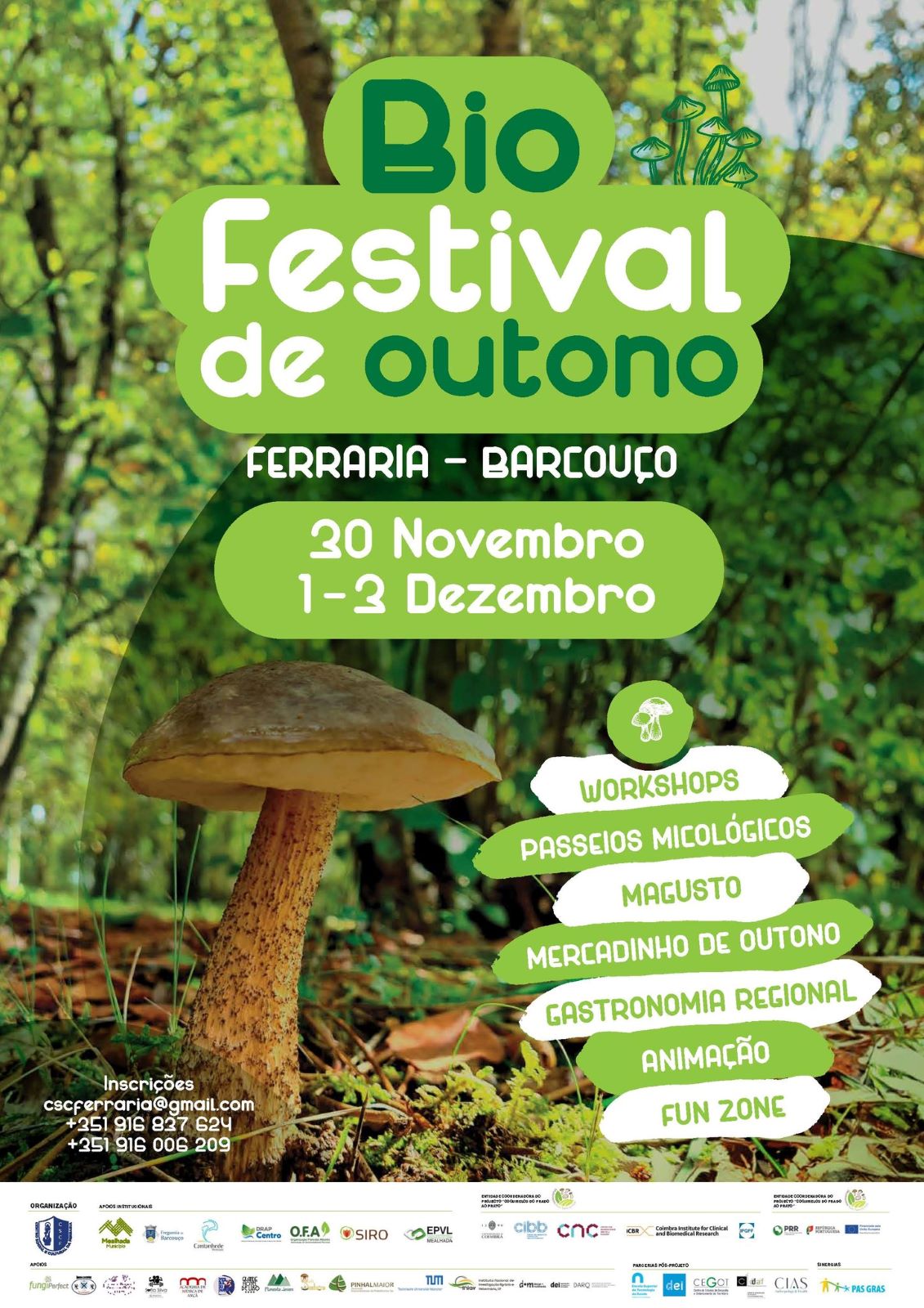 Bio Festival de outono