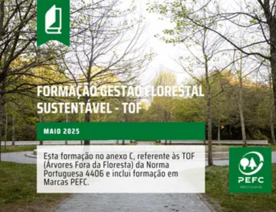 Formação GFS vs 2022 TOF