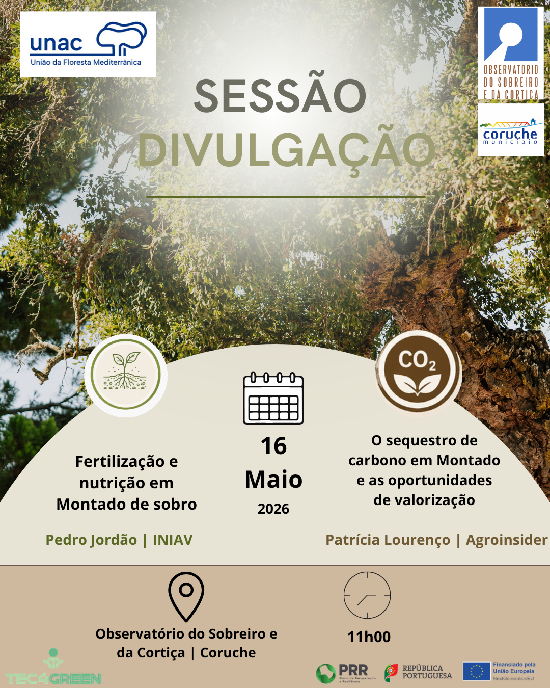 Sessão de Divulgação