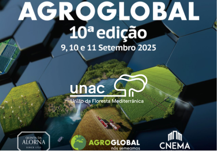 Seminário | Sem Rentabilidade não há Floresta