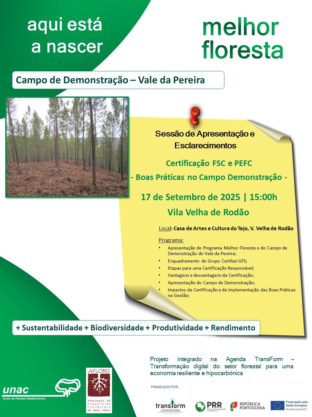 Certificação FSC e PEFC | Boas Práticas no Campo de Demonstração