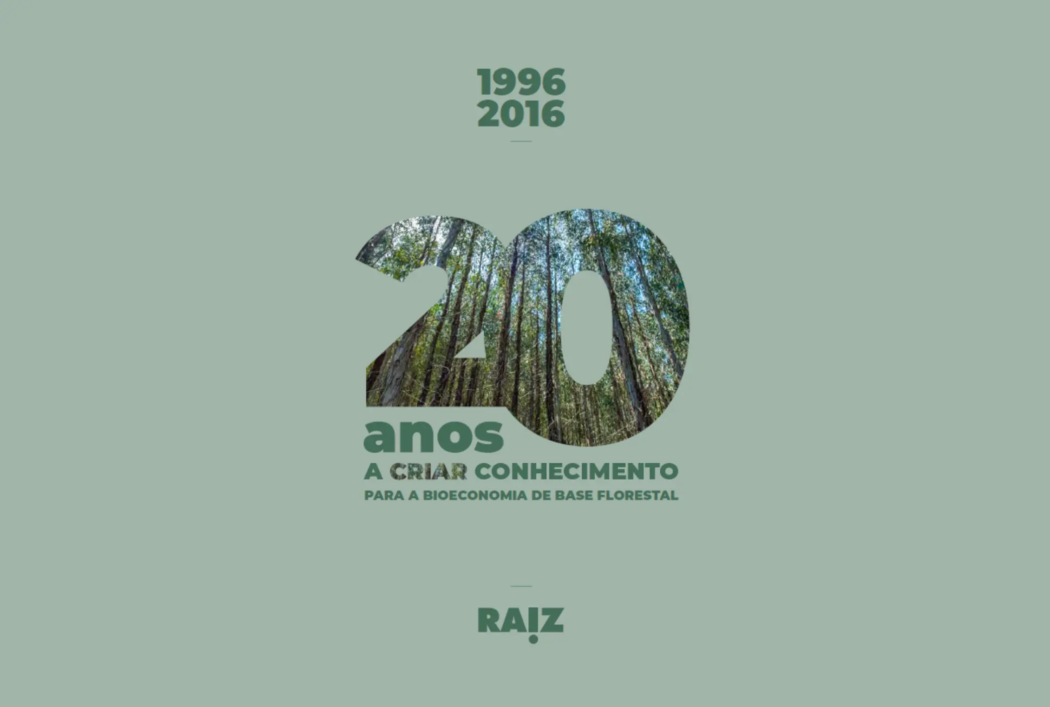 20 anos de I&D do RAIZ: 1996-2016