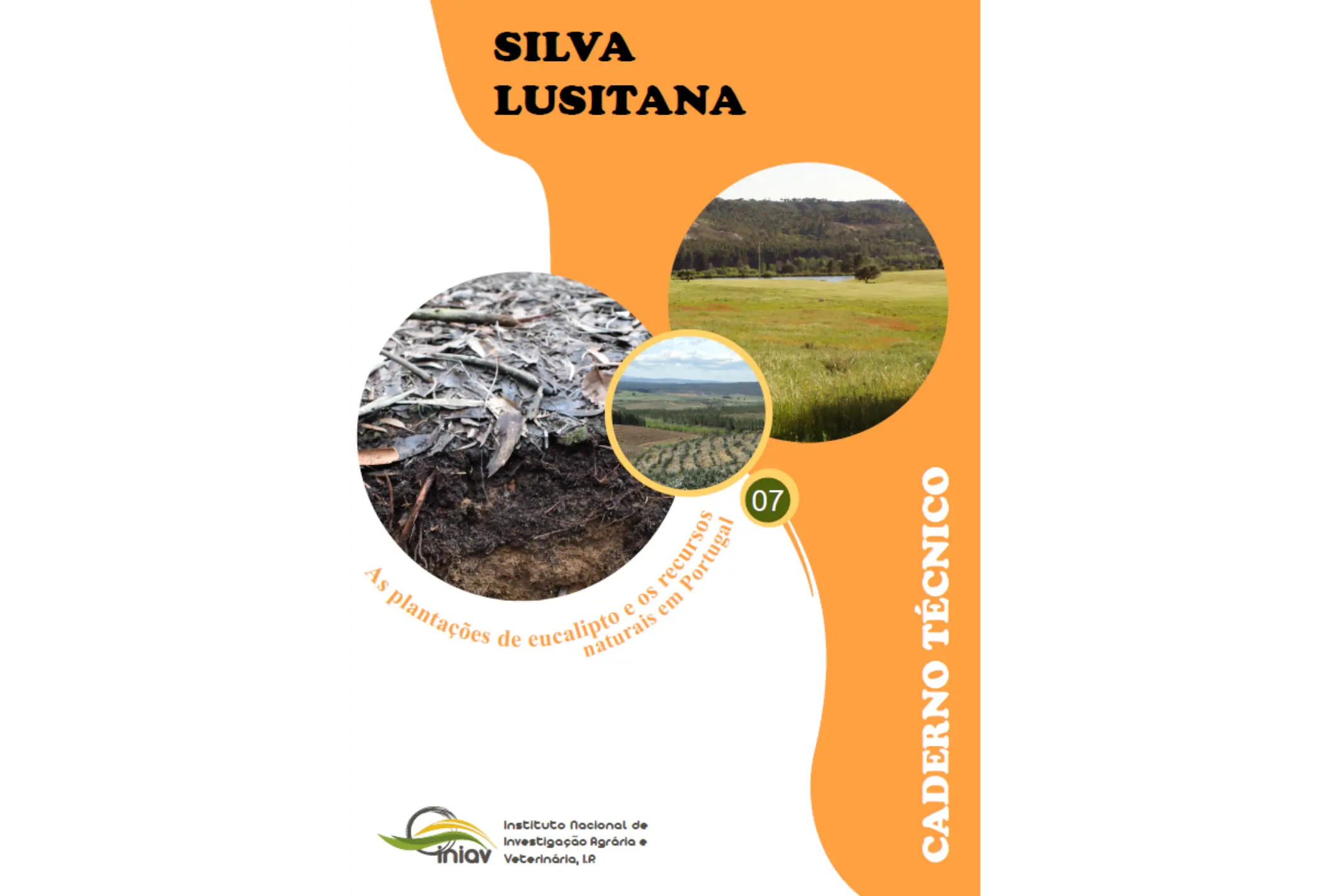As plantações de eucalipto e os recursos naturais em Portugal: Avanços e recentes desafios