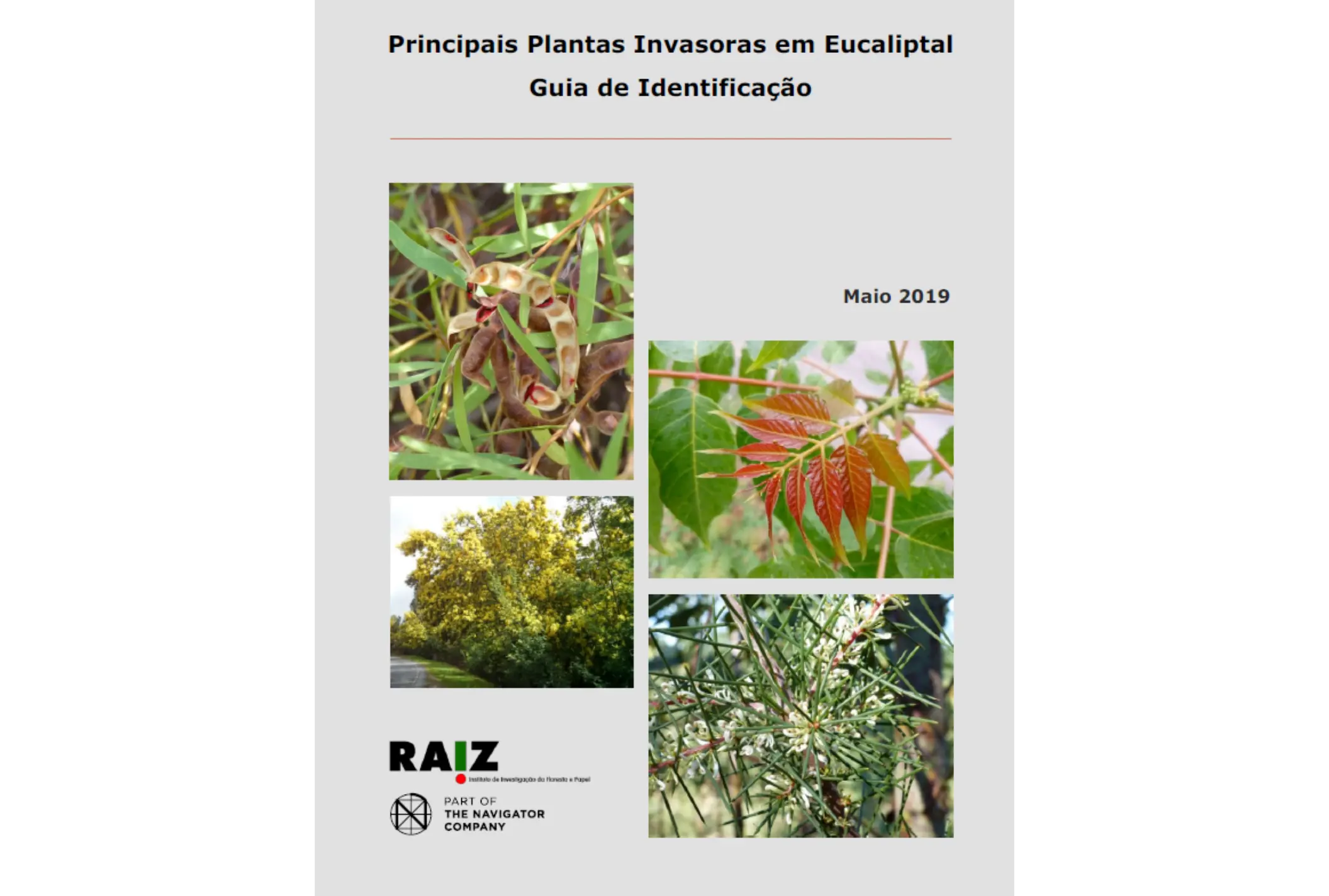 Guia de identificação das principais plantas invasoras em eucaliptal