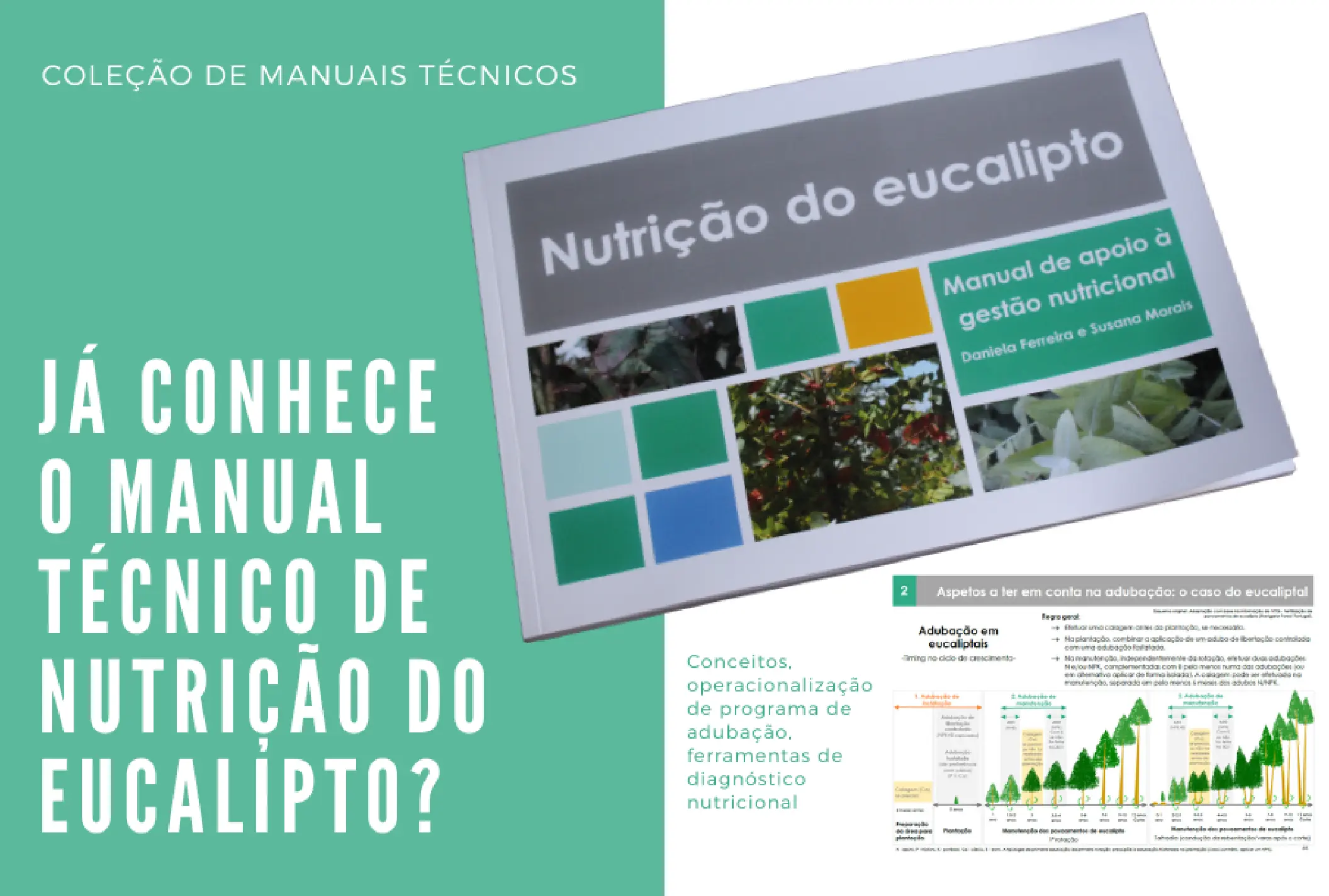Manual de Nutrição do eucalipto