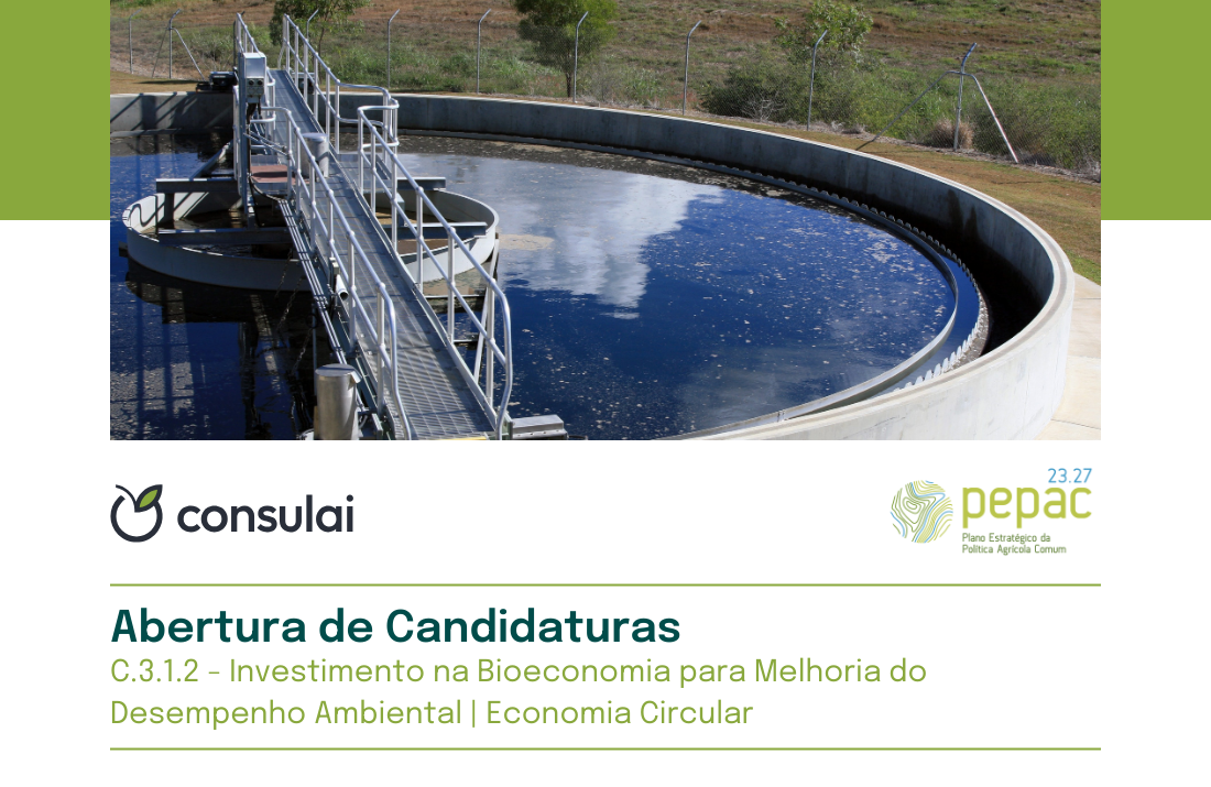 Candidaturas Tipologia C.3.1.2 | Economia Circular