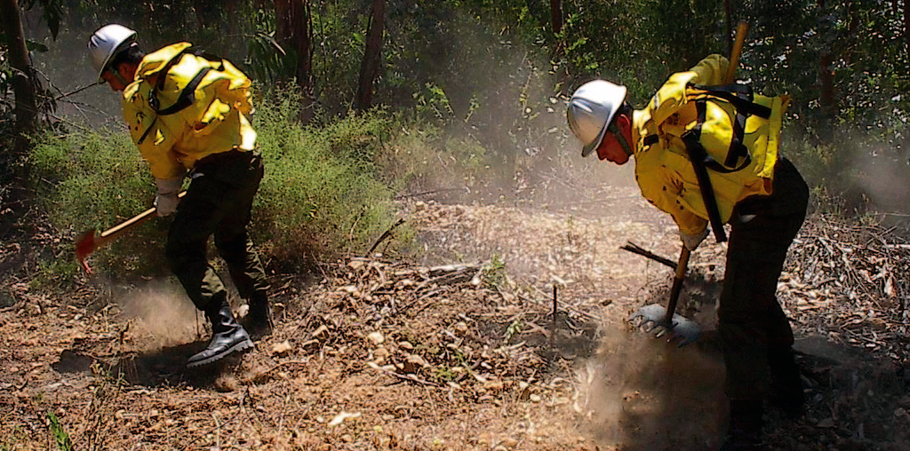 Governo aprova €1,5M para EPI de sapadores florestais