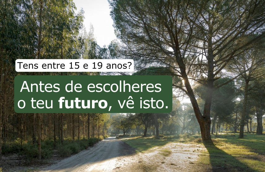 Est&aacute; aberta uma nova porta para o futuro da floresta em Portugal.