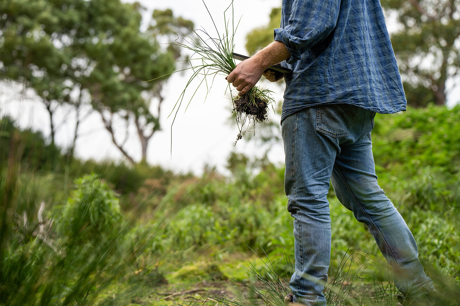 Lei de Monitorização do Solo aprovada na União Europeia