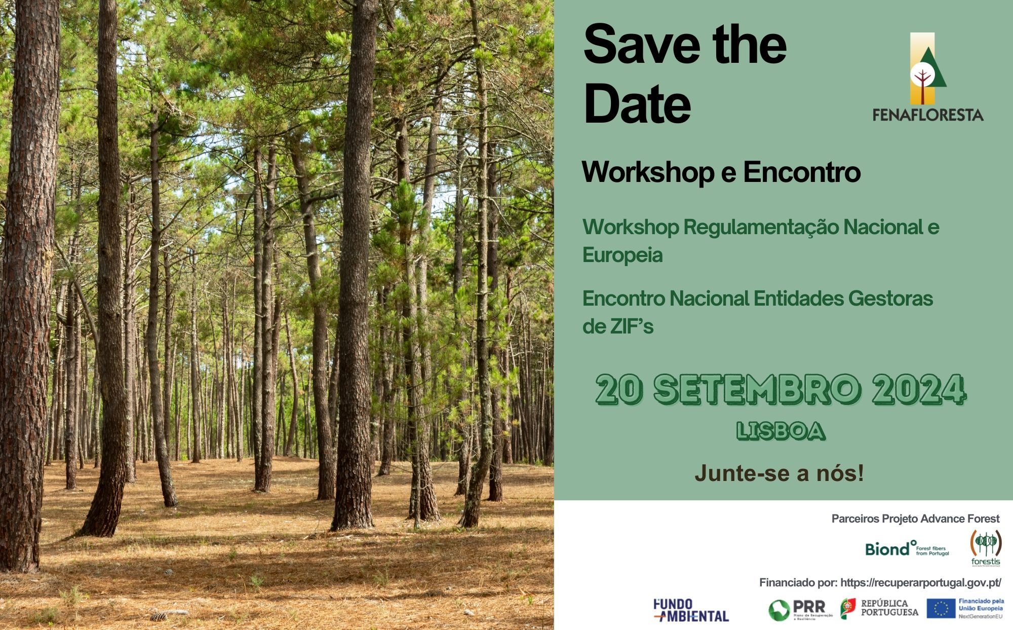 Workshop sobre regulamentação florestal europeia e nacional