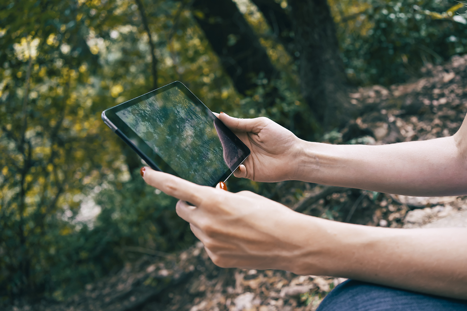 5 plataformas florestais desenvolvidas em Portugal