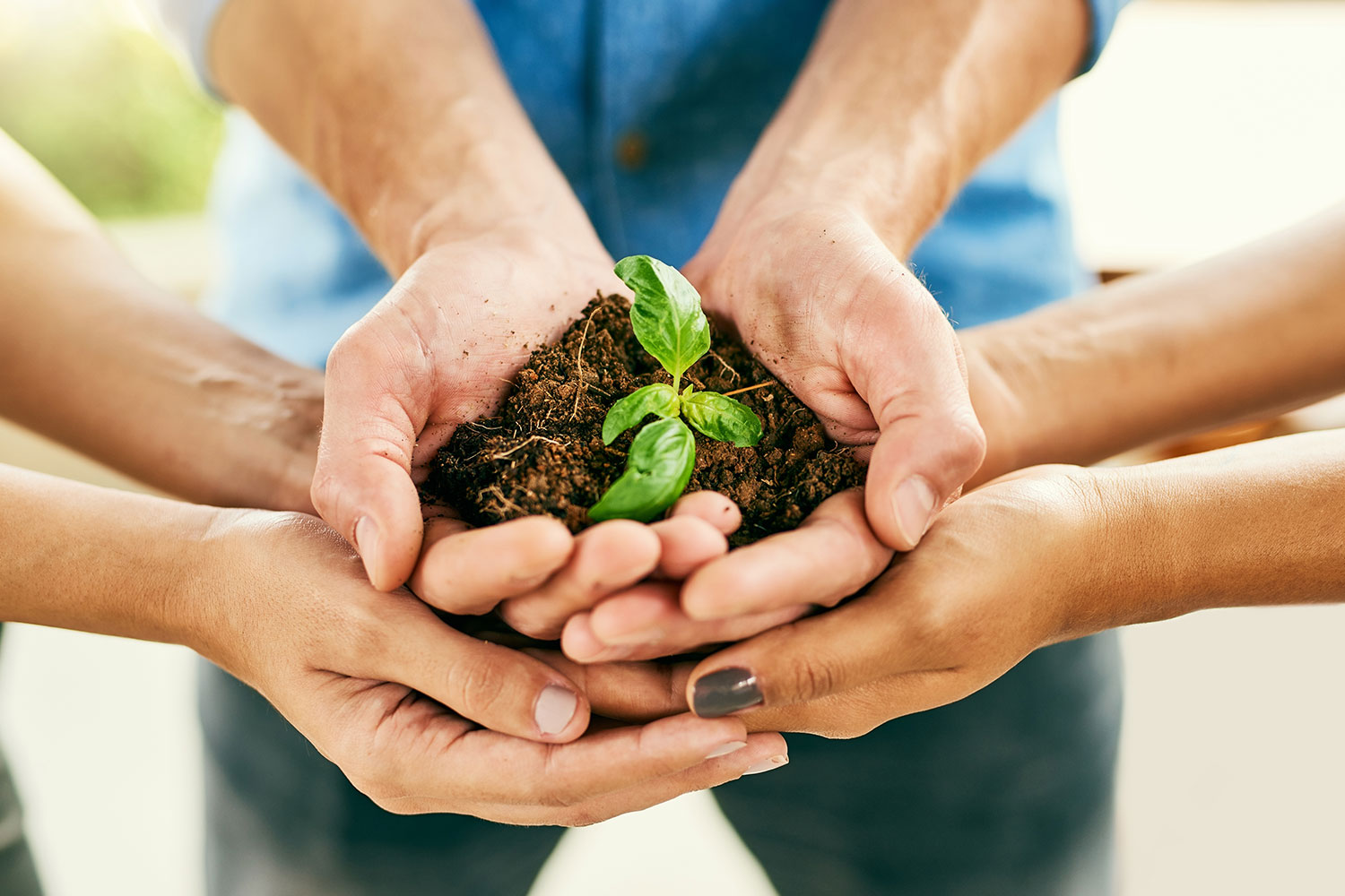 Roteiro europeu para a criação de créditos da natureza