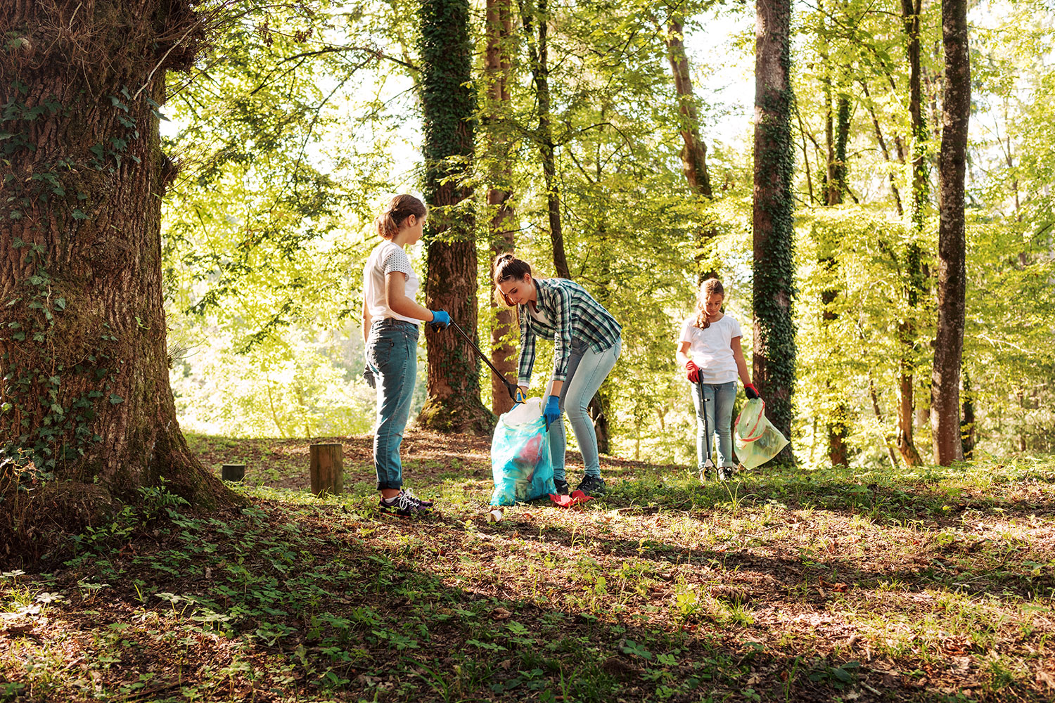 Voluntariado Jovem para a Natureza e Florestas 2025 tem dezenas de iniciativas até outubro
