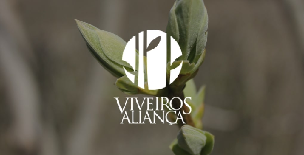 Viveiros Aliança