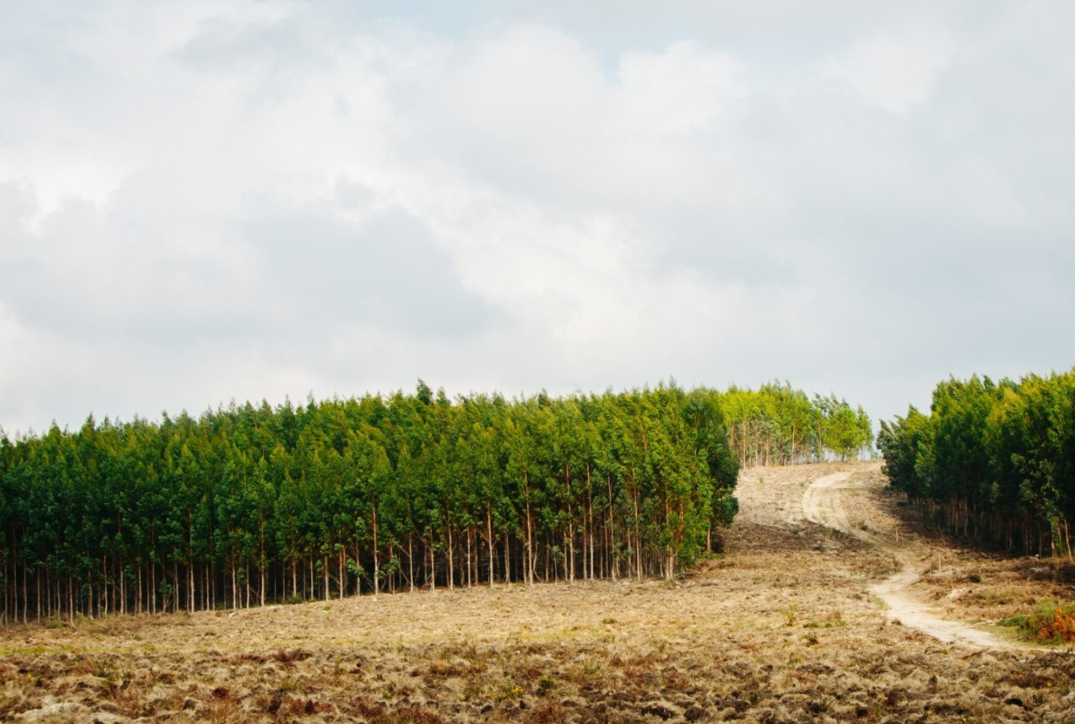 Premium - Agendamento de Visitas Técnicas